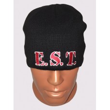 Э.С.Т. шапка с вышитым логотипом эст