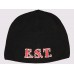 Э.С.Т. шапка с вышитым логотипом эст